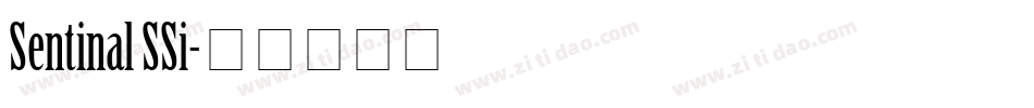 Sentinal SSi字体转换